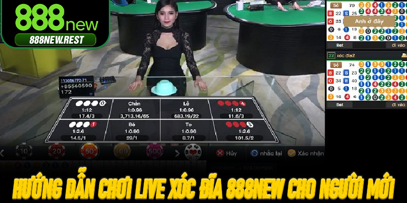 Hướng dẫn chơi Live Xóc Đĩa 888New cho người mới
